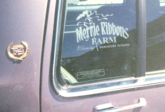 sample of sandblasted vinyl on vehicle glass