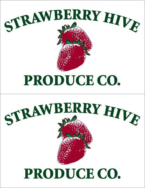 Images of our Custom Printed Label Sheets No. 85551