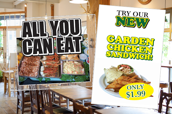 Images of our Extra Large Window Decals