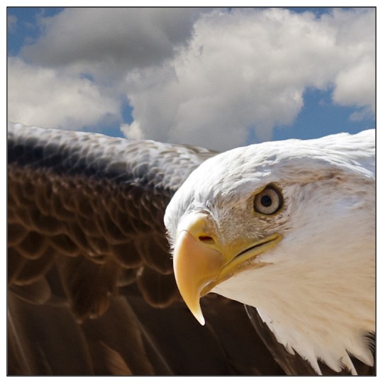 Image of our Number 30607 2½" x 2½" Square Cornered non-adhesive sticker on White Static Cling Vinyl