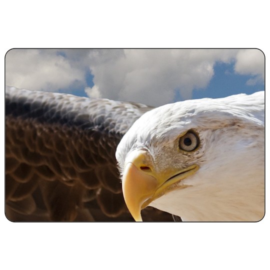 Image of our Number 34907 3" x 2" Round Cornered non-adhesive sticker on White Static Cling Vinyl