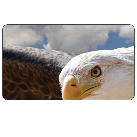 Image of our Number 35107 3½" x 2" Round Cornered non-adhesive sticker on White Static Cling Vinyl