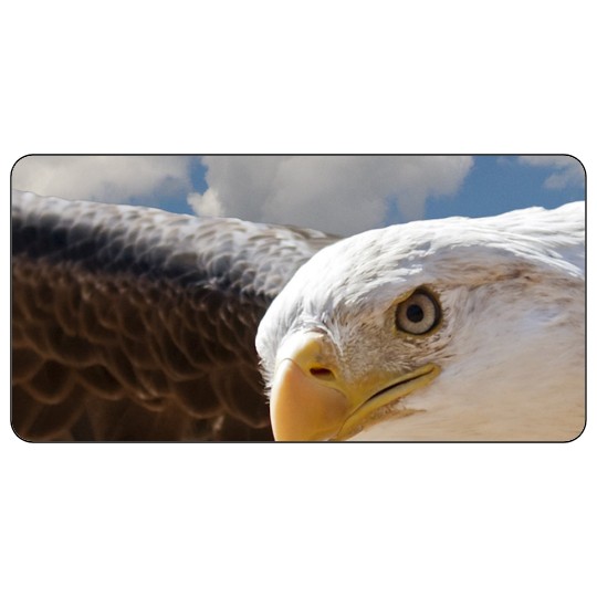 Image of our Number 35607 4" x 2" Round Cornered non-adhesive sticker on White Static Cling Vinyl