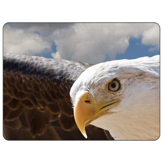 Image of our Number 35807 4" x 3" Round Cornered non-adhesive sticker on White Static Cling Vinyl