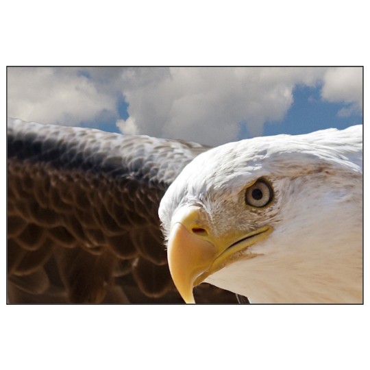 Image of our Number 32107 4½" x 3" Square Cornered non-adhesive sticker on White Static Cling Vinyl