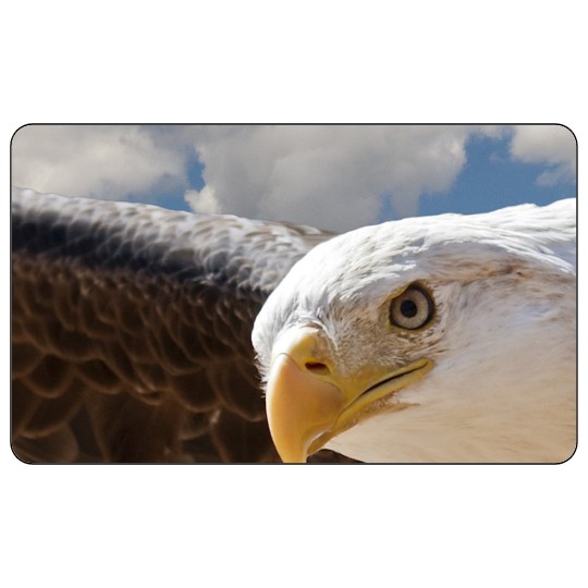 Image of our Number 36207 5" x 3" Round Cornered non-adhesive sticker on White Static Cling Vinyl