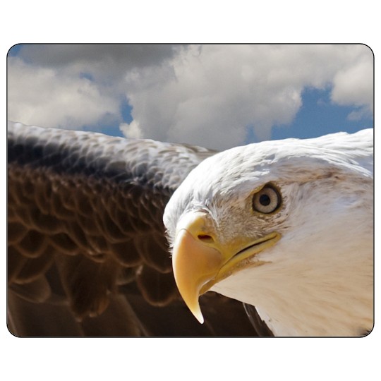 Image of our Number 36407 5" x 4" Round Cornered non-adhesive sticker on White Static Cling Vinyl