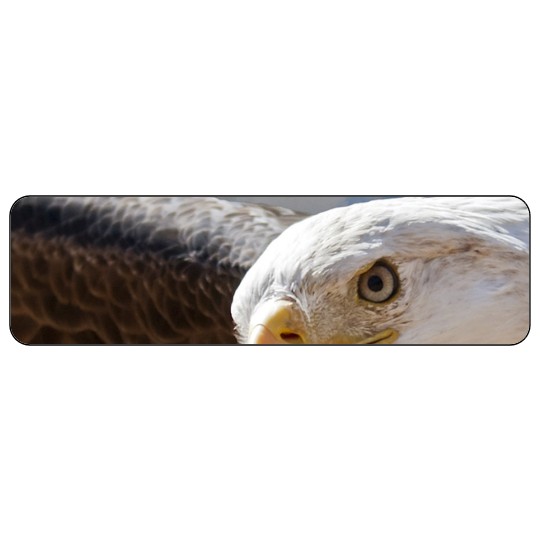 Image of our Number 37207 7" x 2" Round Cornered non-adhesive sticker on White Static Cling Vinyl