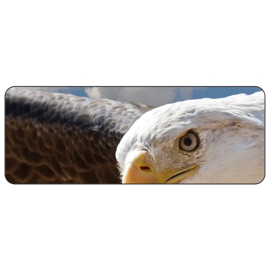 Image of our Number 37407 8" x 3" Round Cornered non-adhesive sticker on White Static Cling Vinyl